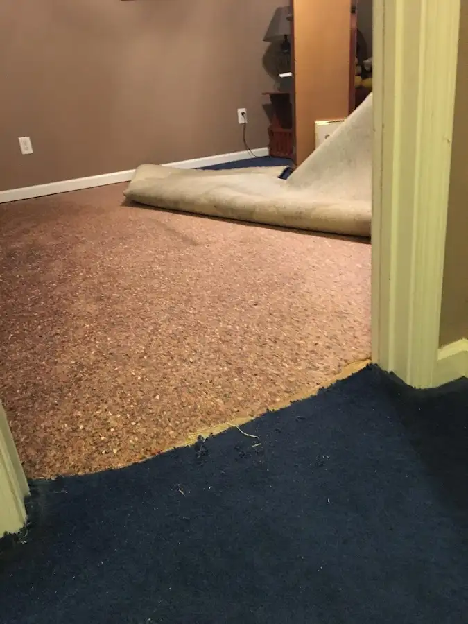 Carpet pad removal revealing water damage during Water Mitigation Services in Franklin Park