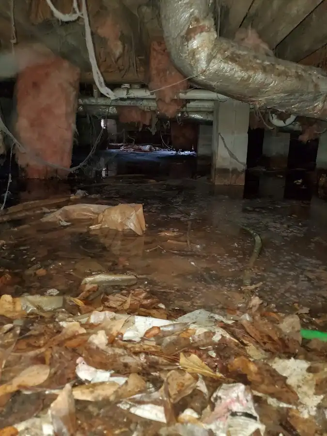 Crawl space flood assessment for Leak Detection & Repair in Franklin Park