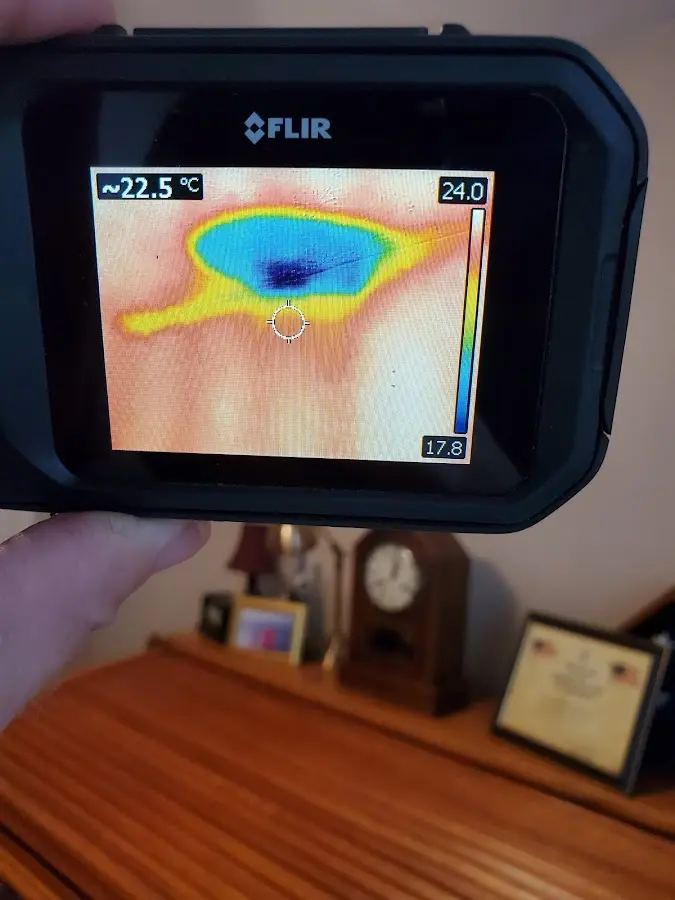 Thermal imaging inspection for water damage in Franklin Park