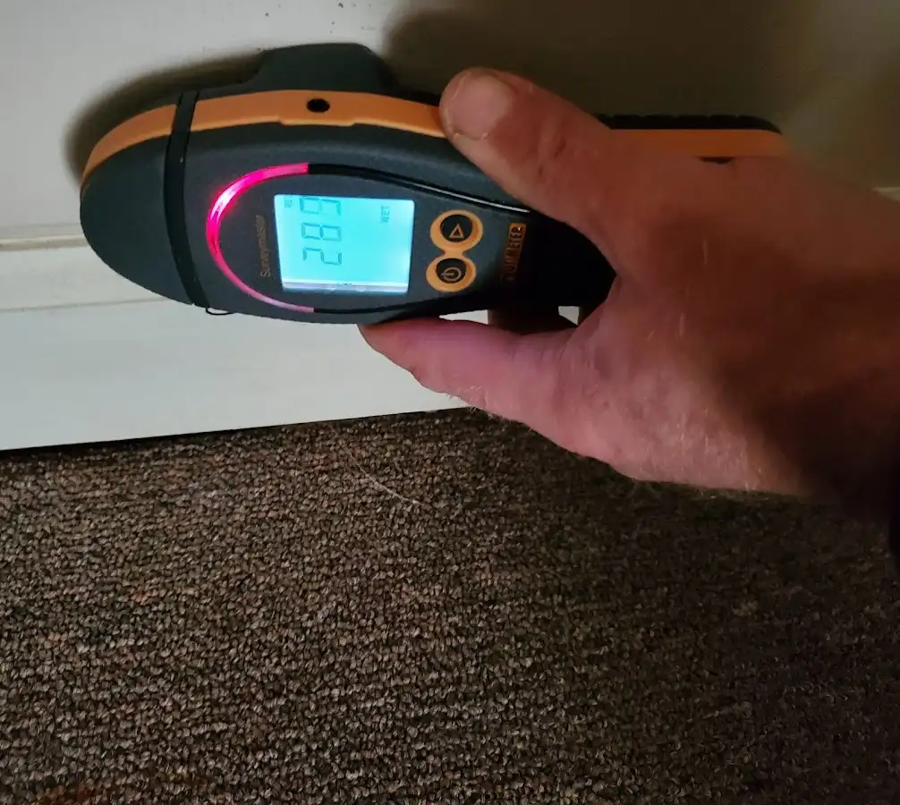 Moisture detection at baseboard during Mold Inspection & Testing in Franklin Park